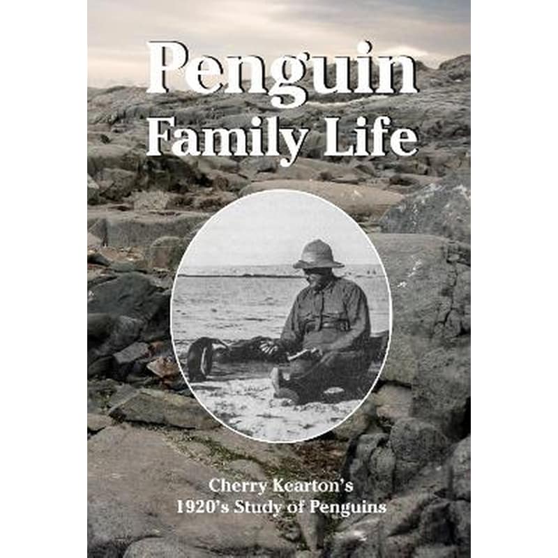 Penguin Family Life