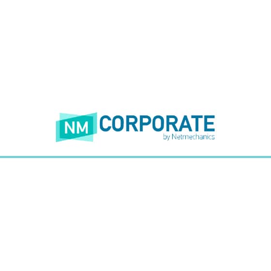 Netmechanics NMCorporate Website 1 χρήστης - 8 μήνες image 0