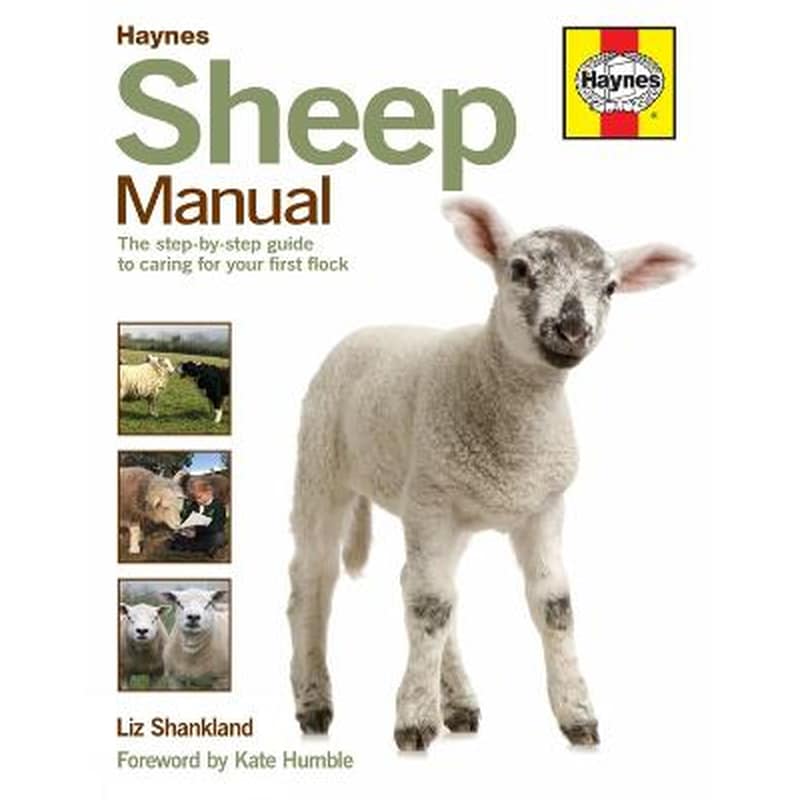Sheep Manual