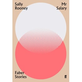 Mr Salary