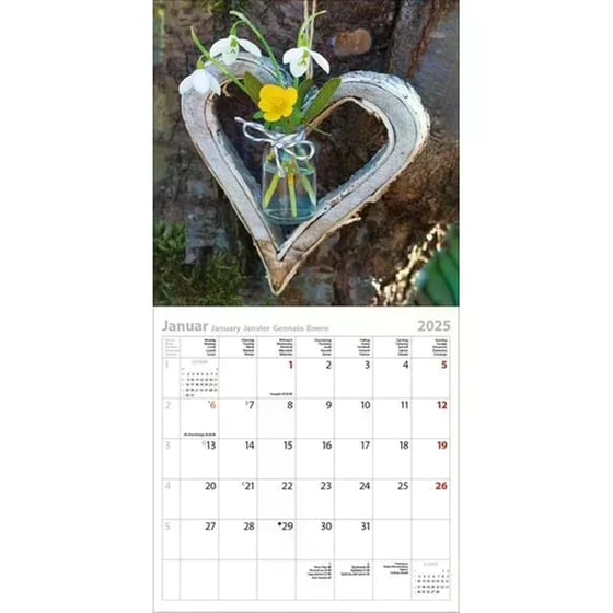 Ημερολόγιο Τοίχου 2025 Land & Lust image 2