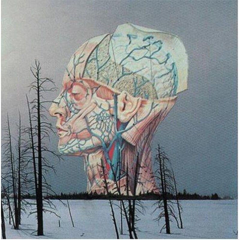 Songs For A Dead Pilot