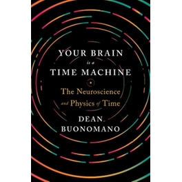 Your Brain Is a Time Machine