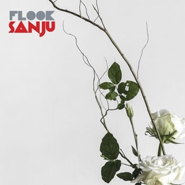 Sanju (CD)