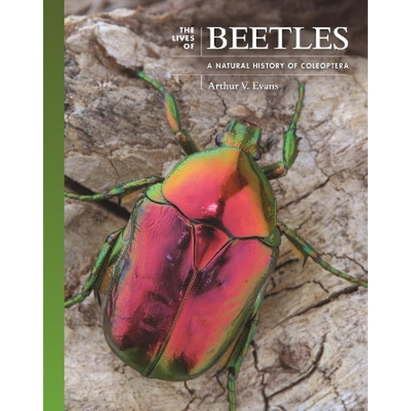 The Lives of Beetles