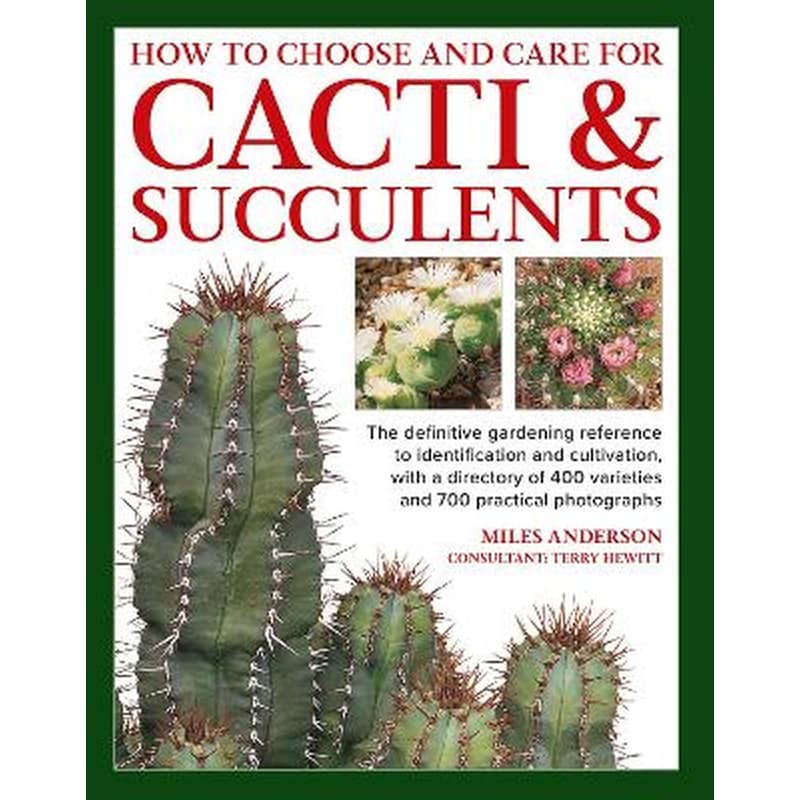 Cacti Succulents, How to Choose and Care for
