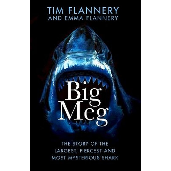 Big Meg image 0