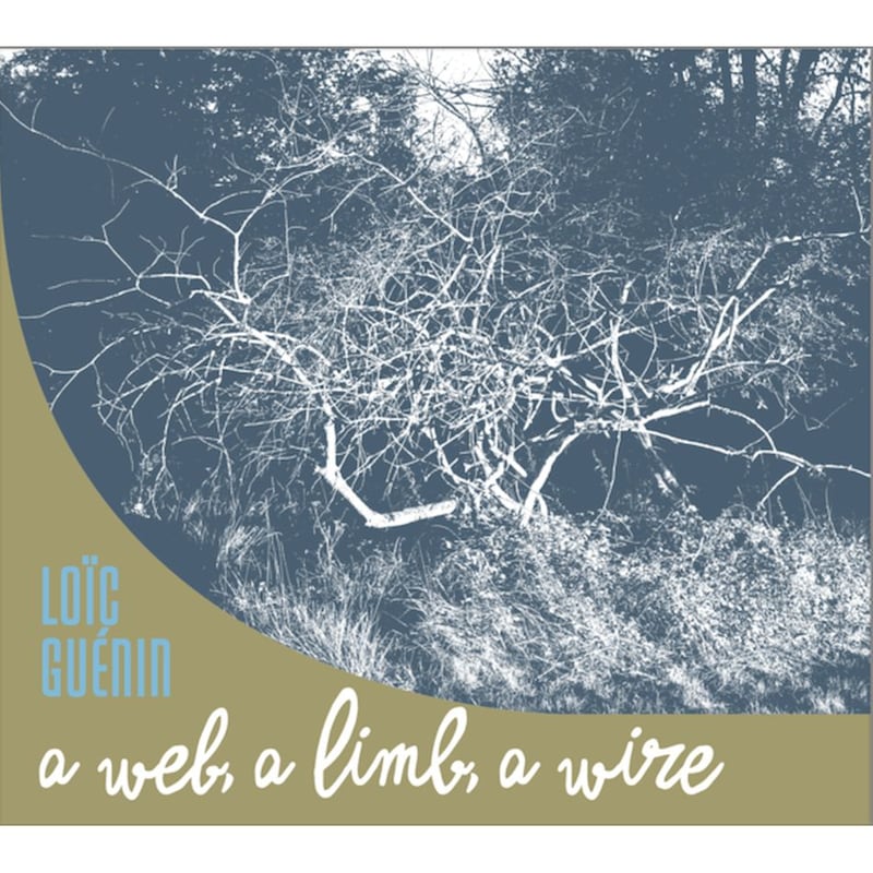 A Web, A Lim, A Wire