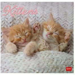 Ημερολόγιο Τοίχου Legami 2026 Kittens 30x29cm