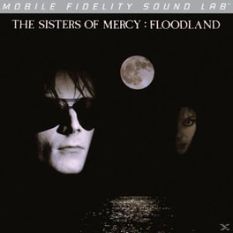 Floodland