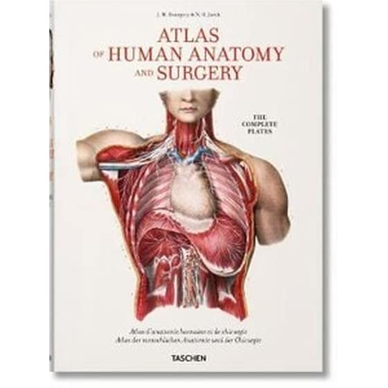 Bourgery- Atlas of Human Anatomy and Surgery image 0