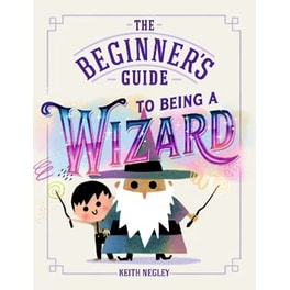 The Beginner's Guide to Being a Wizard