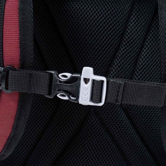 Τσάντα Πλάτης Polo Genius Μπορντό image 2