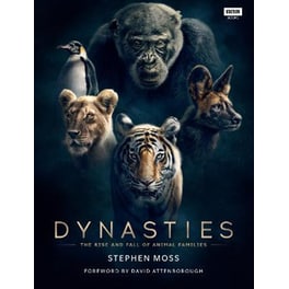 Dynasties