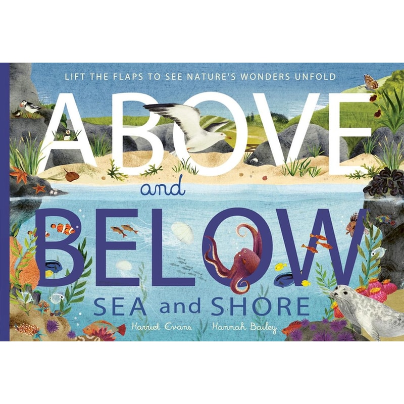 Above and Below: Sea and Shore