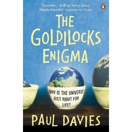 The Goldilocks Enigma