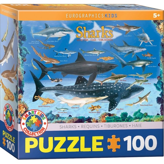 Παζλ Eurographics Sharks (100 Κομμάτια) image 0