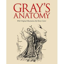 Grays Anatomy
