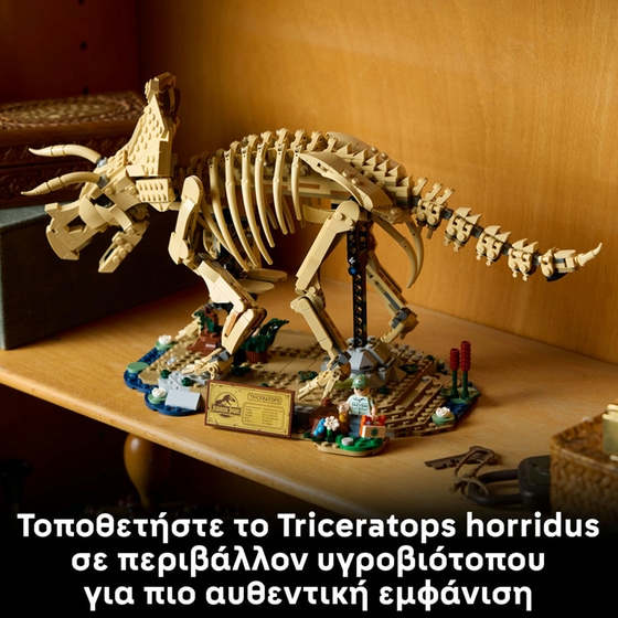 LEGO® Jurassic World Απολιθώματα Δεινοσαύρων: Τρικεράτοπας (77985) image 8
