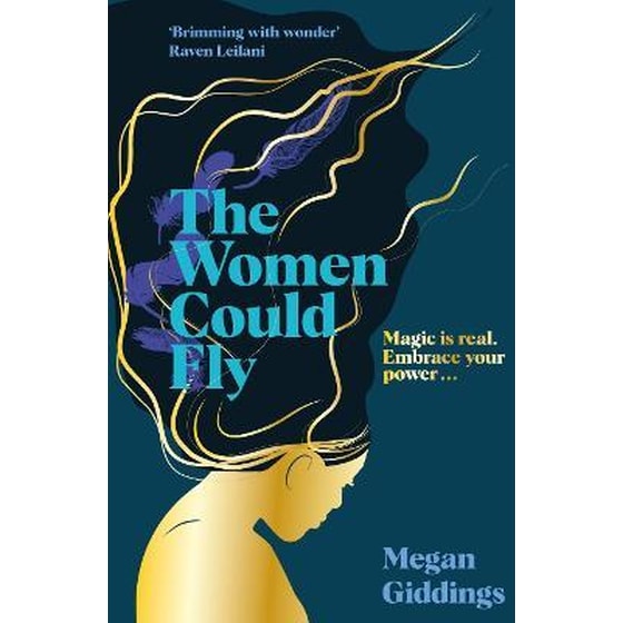 The Women Could Fly image 0
