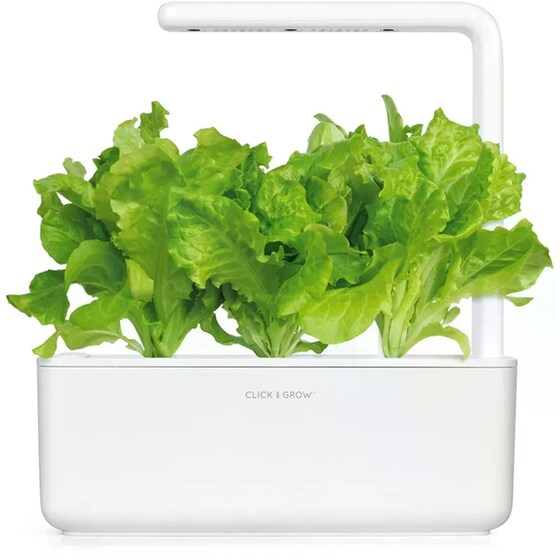 Κάψουλες Click and Grow 3 Τμχ - Μαρούλι image 4