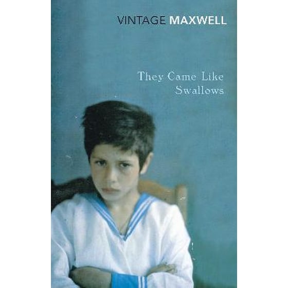 They Came Like Swallows image 0