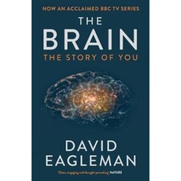 The Brain