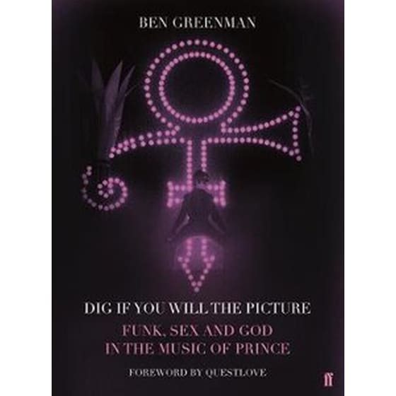 Dig If You Will The Picture image 0