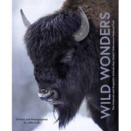 Wild Wonders