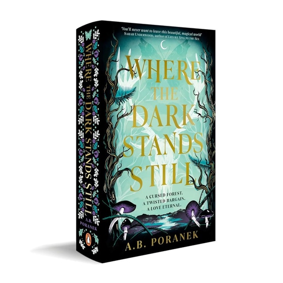 Where the Dark Stands Still image 2