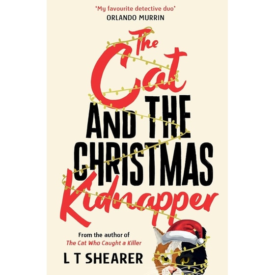 The Cat and the Christmas Kidnapper image 0