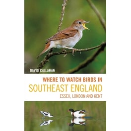 Where to Watch Birds in Southeast England