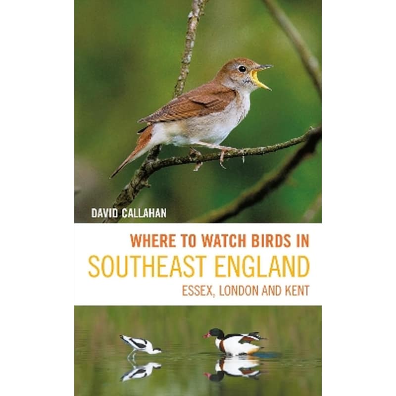 Where to Watch Birds in Southeast England