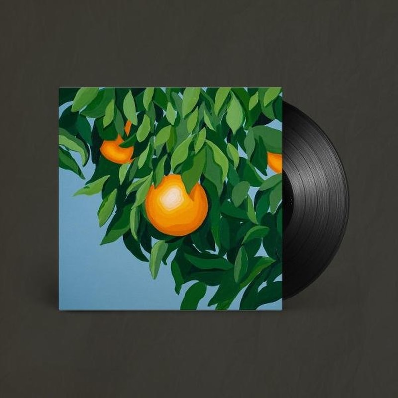 For The First Time Again (LP)