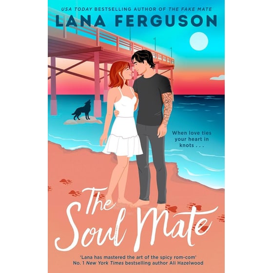 The Soul Mate image 0
