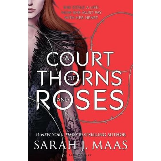 Court of Thorns and Roses image 0