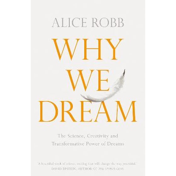 Why We Dream image 0