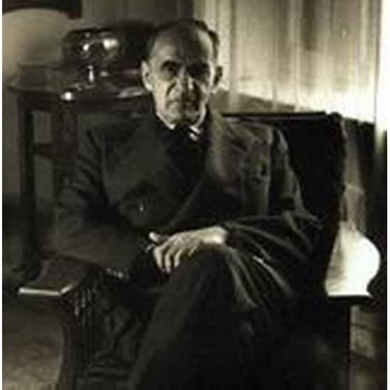 Λεμονοδάσος image 1