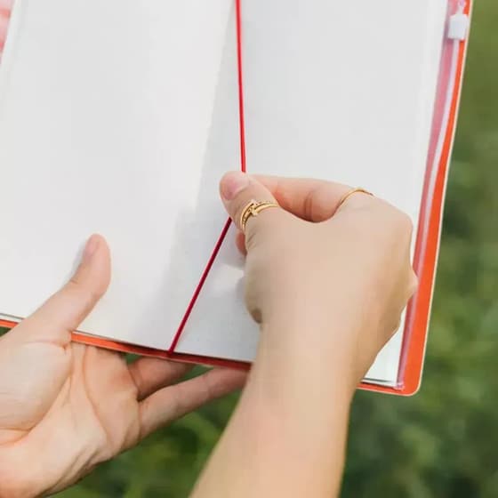 Ταξιδιωτικό Τετράδιο με Δερματίνη Frida Kahlo Viva La Vida image 6