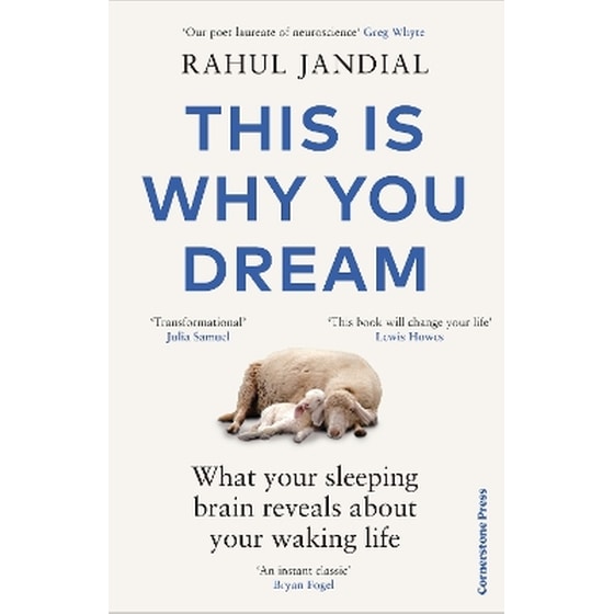 This Is Why You Dream image 0