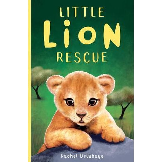 Little Lion Rescue image 0