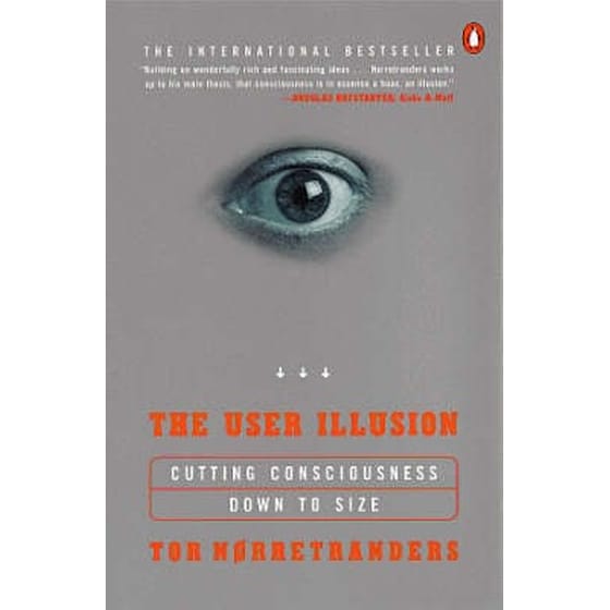 The User Illusion image 0