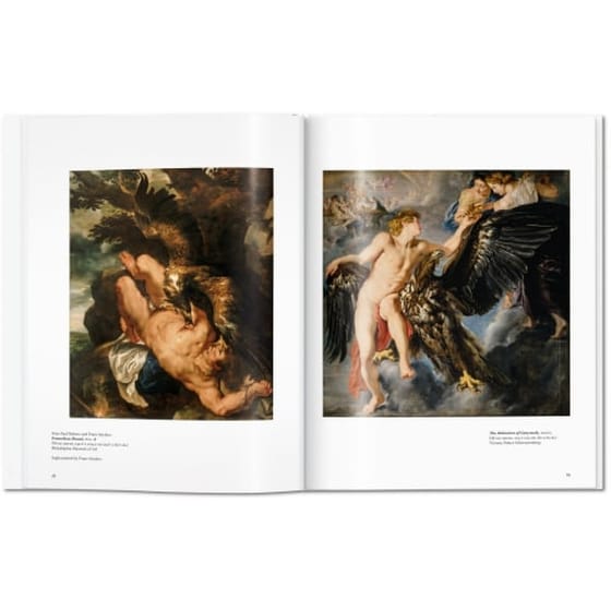 Rubens image 2