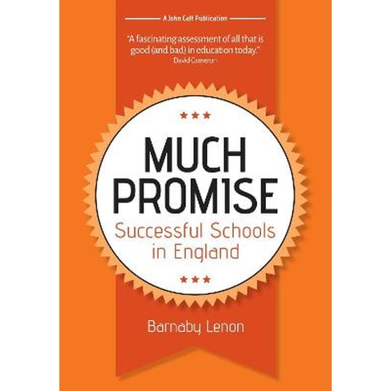 Much Promise: Successful Schools in England image 0