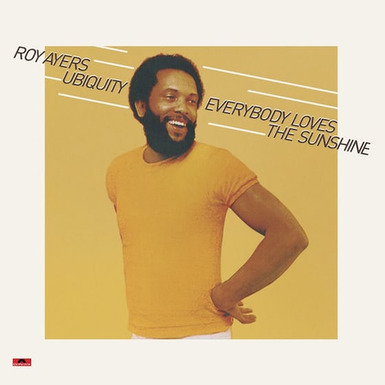 Everybody Loves The Sunshine (LP) image 0