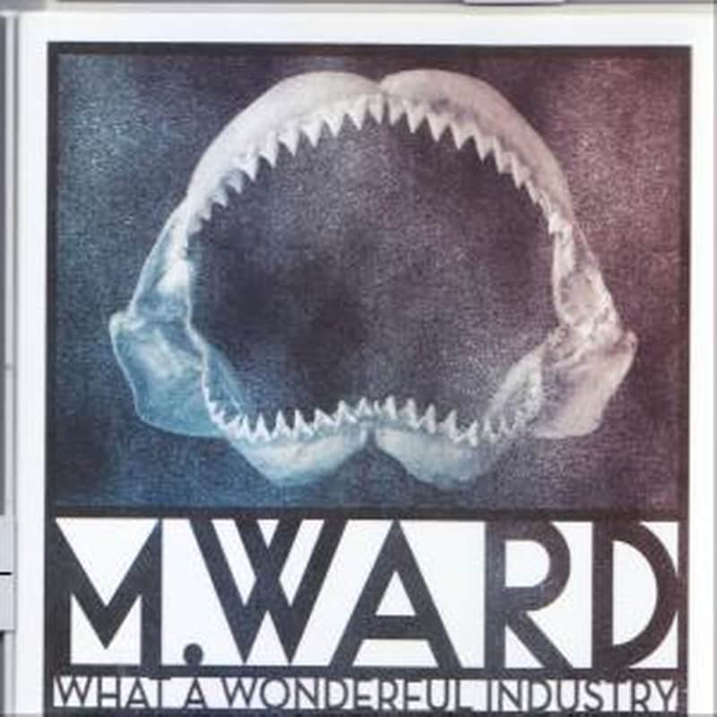 What A Wonderfull Industry