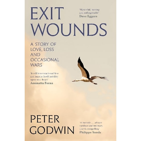 Exit Wounds image 0