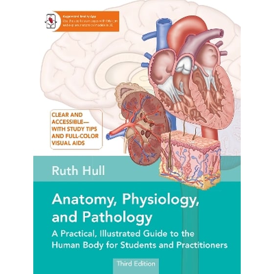 Anatomy, Physiology, and Pathology image 0