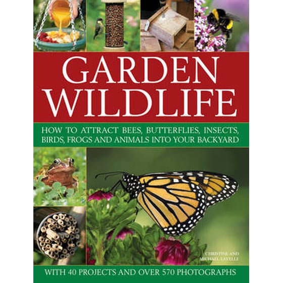 Garden Wildlife image 0