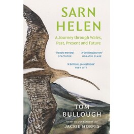 Sarn Helen